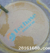 <b>Zhejiang Huangguan Canned Food WWTP Project</b>