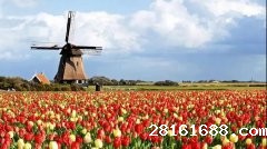 <b>Techase | Aquatech Amsterdam 2019 in Europe</b>